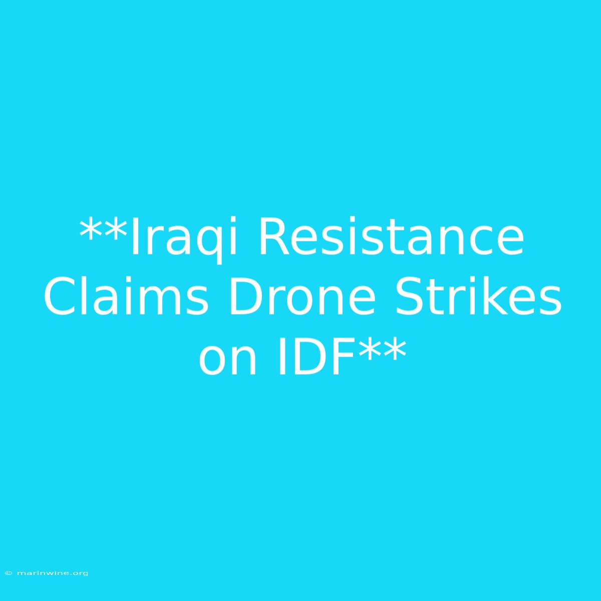 **Iraqi Resistance Claims Drone Strikes On IDF** 