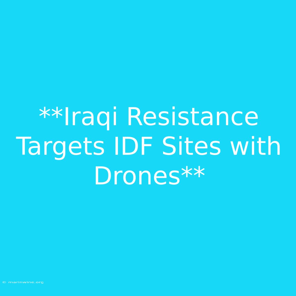 **Iraqi Resistance Targets IDF Sites With Drones**