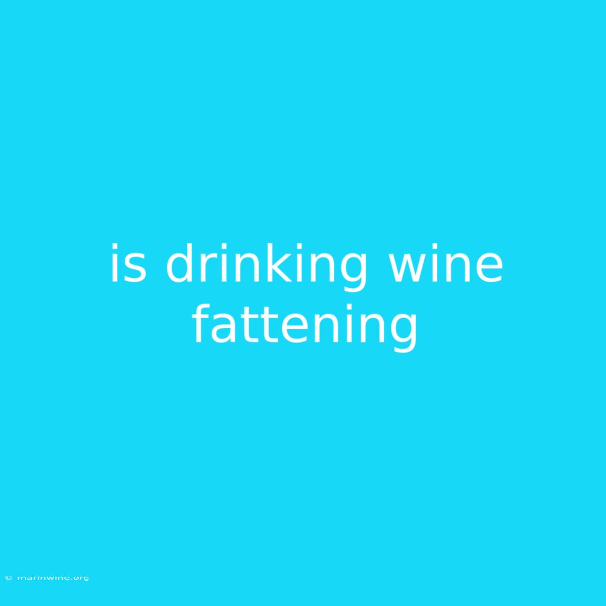 Is Drinking Wine Fattening