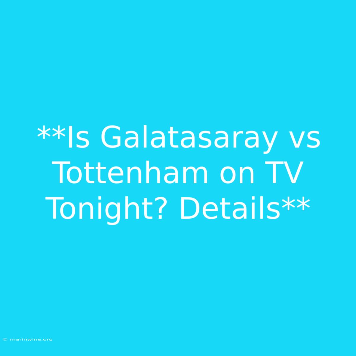 **Is Galatasaray Vs Tottenham On TV Tonight? Details** 