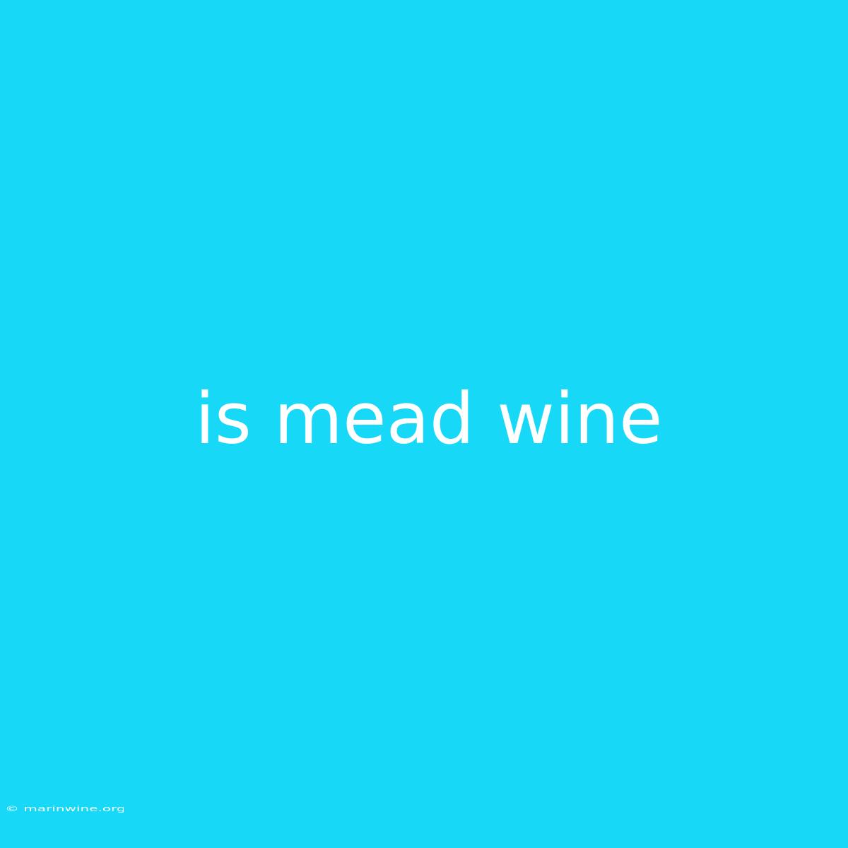 Is Mead Wine