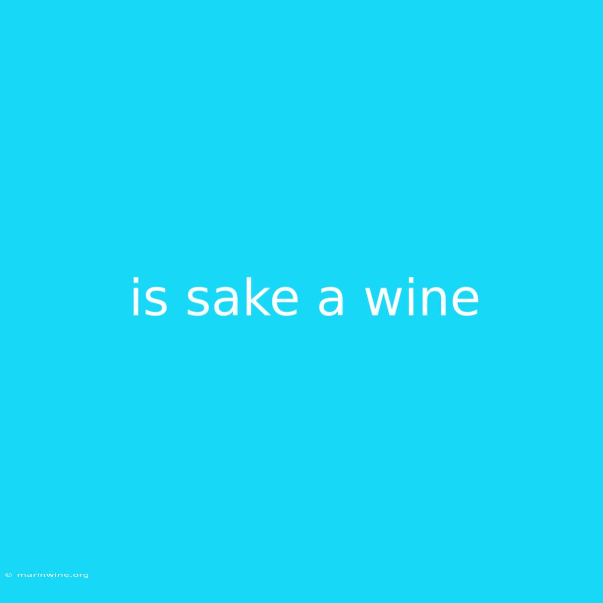 Is Sake A Wine