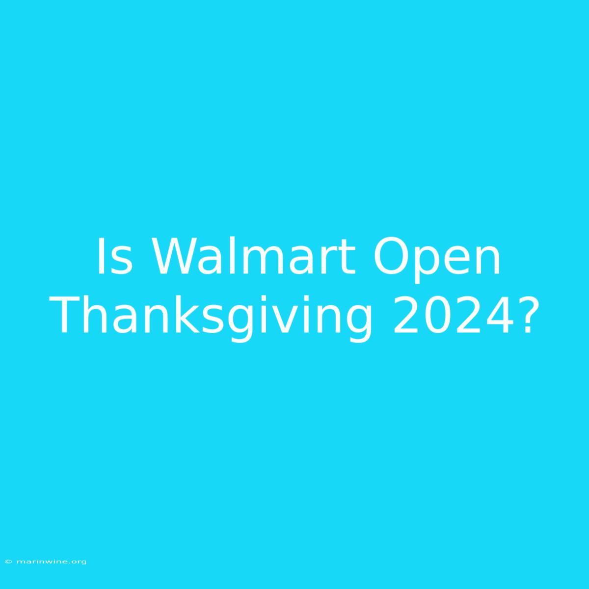 Is Walmart Open Thanksgiving 2024?