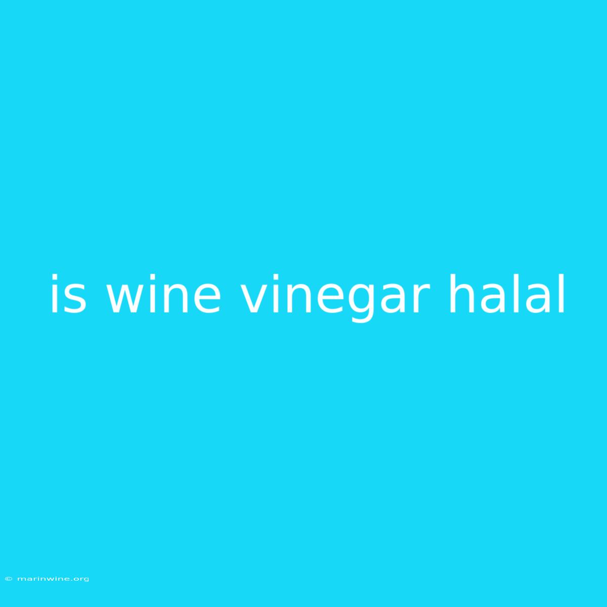 Is Wine Vinegar Halal