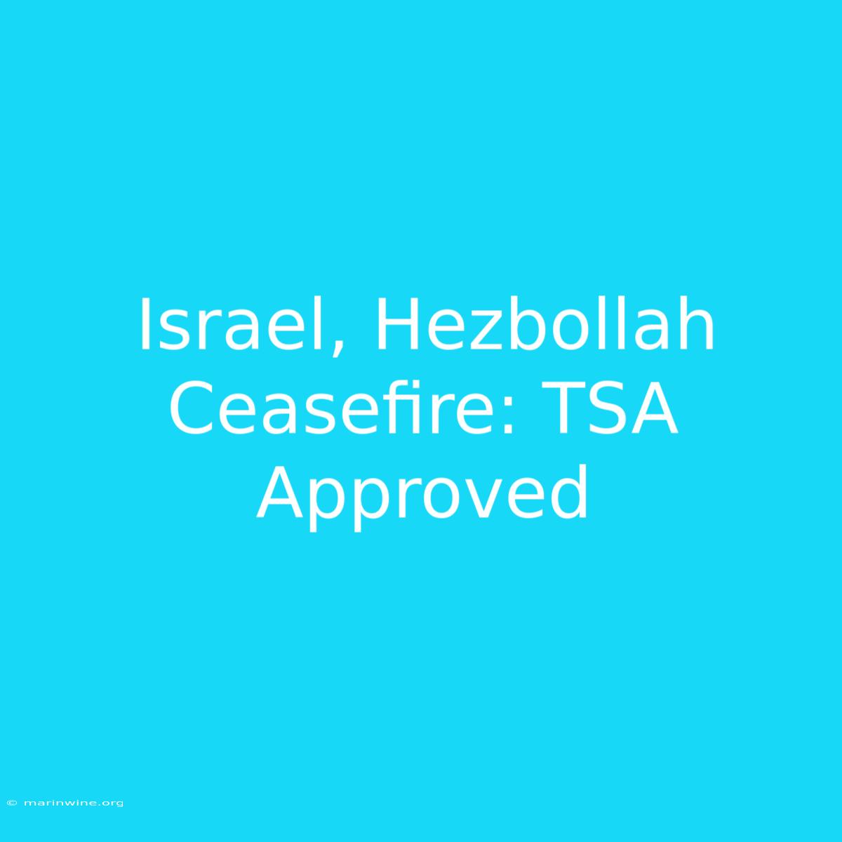 Israel, Hezbollah Ceasefire: TSA Approved