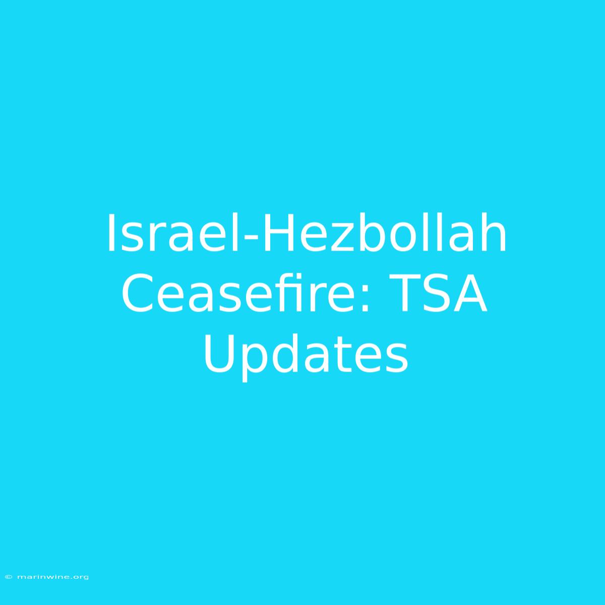 Israel-Hezbollah Ceasefire: TSA Updates