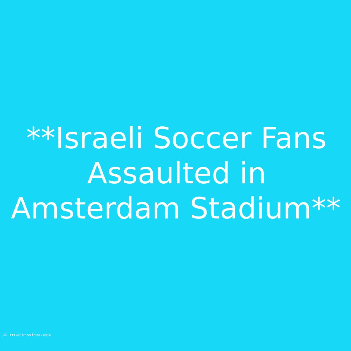 **Israeli Soccer Fans Assaulted In Amsterdam Stadium** 