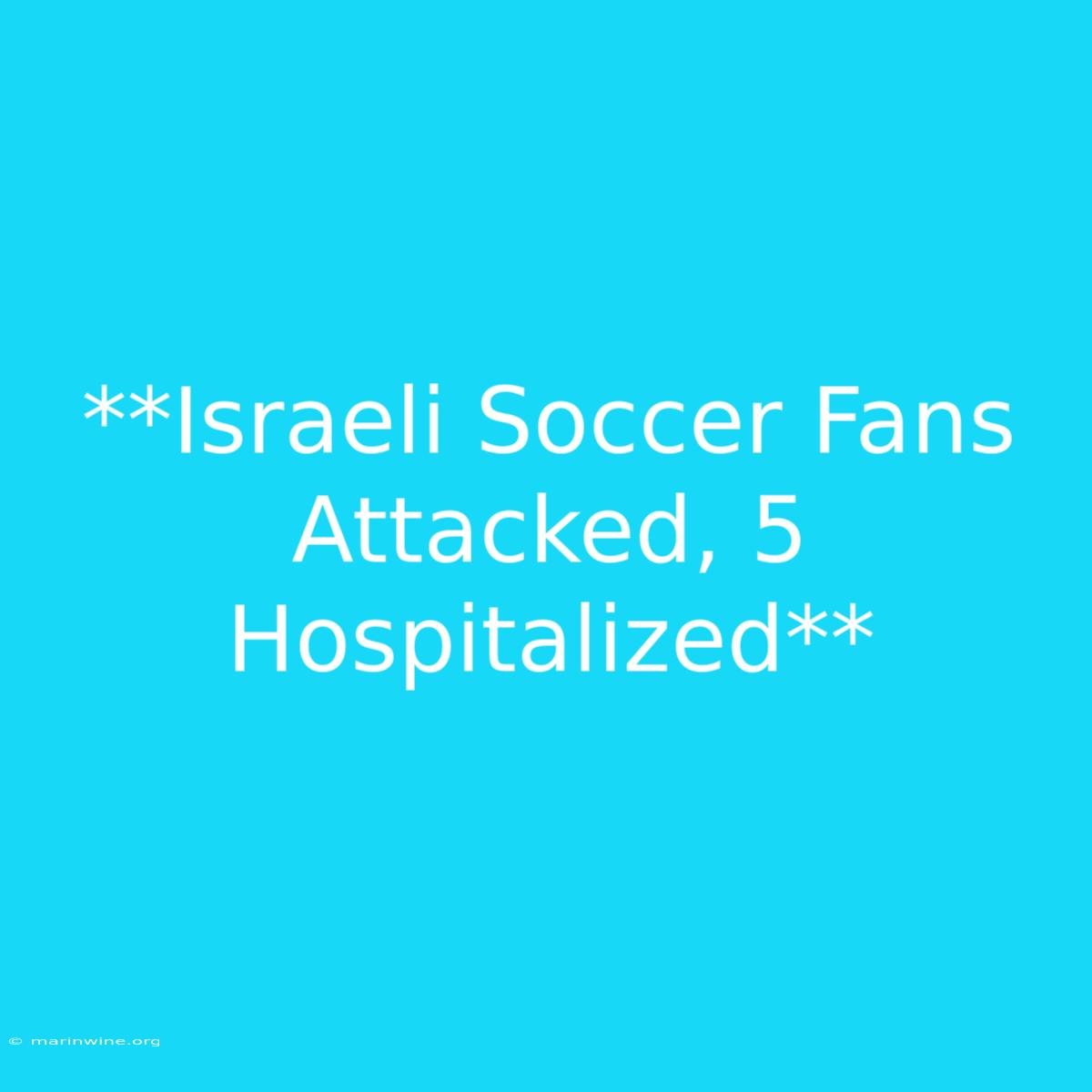 **Israeli Soccer Fans Attacked, 5 Hospitalized**