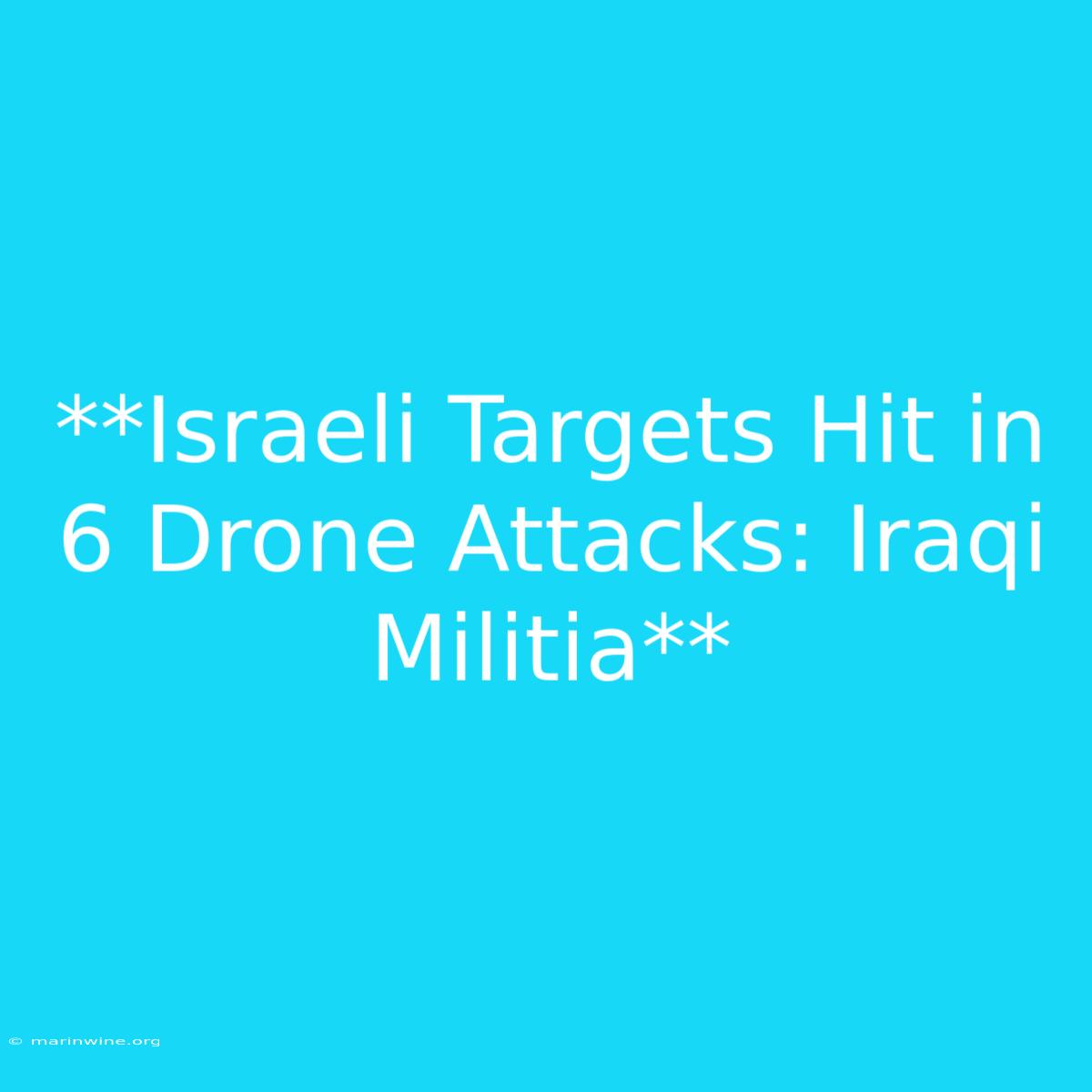 **Israeli Targets Hit In 6 Drone Attacks: Iraqi Militia** 