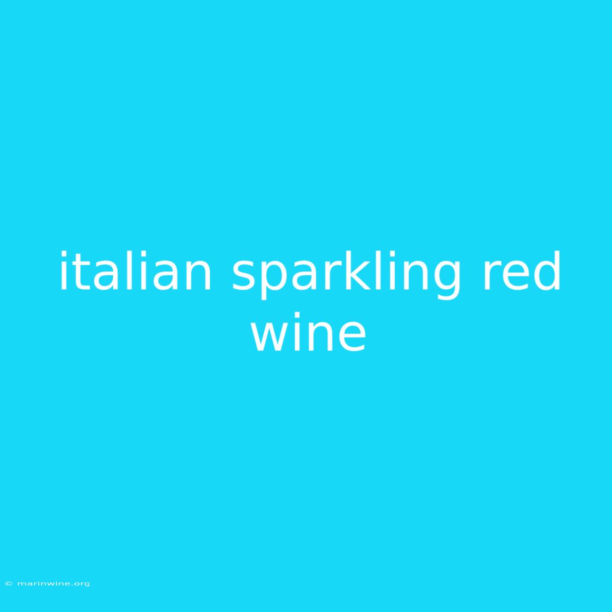 Italian Sparkling Red Wine