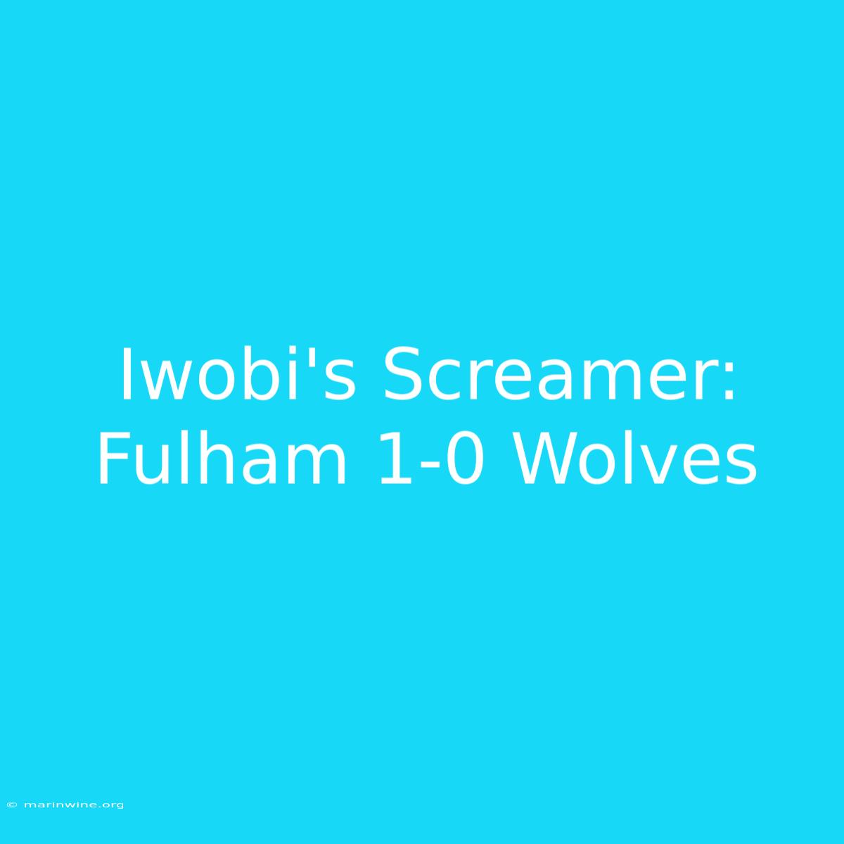 Iwobi's Screamer: Fulham 1-0 Wolves