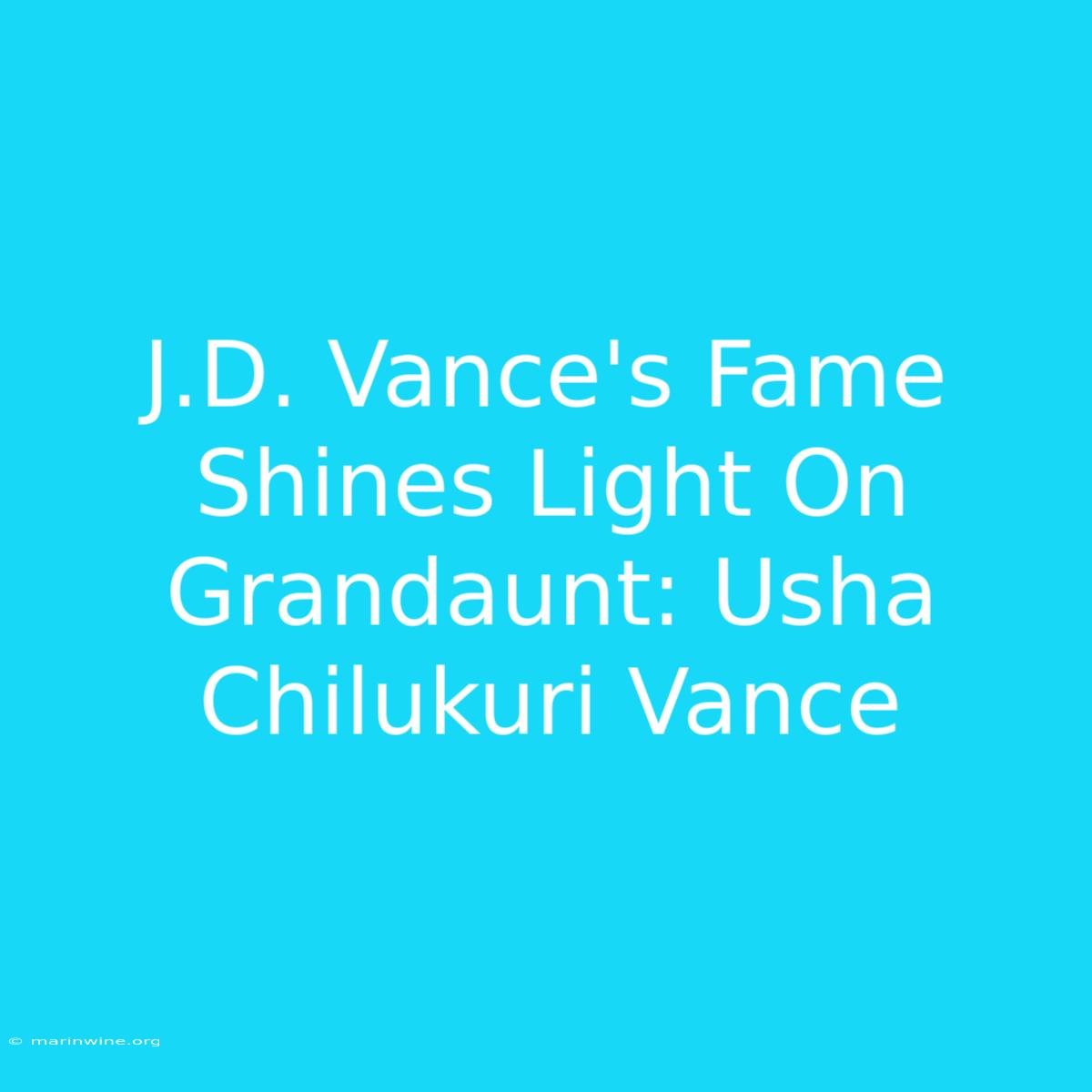 J.D. Vance's Fame Shines Light On Grandaunt: Usha Chilukuri Vance