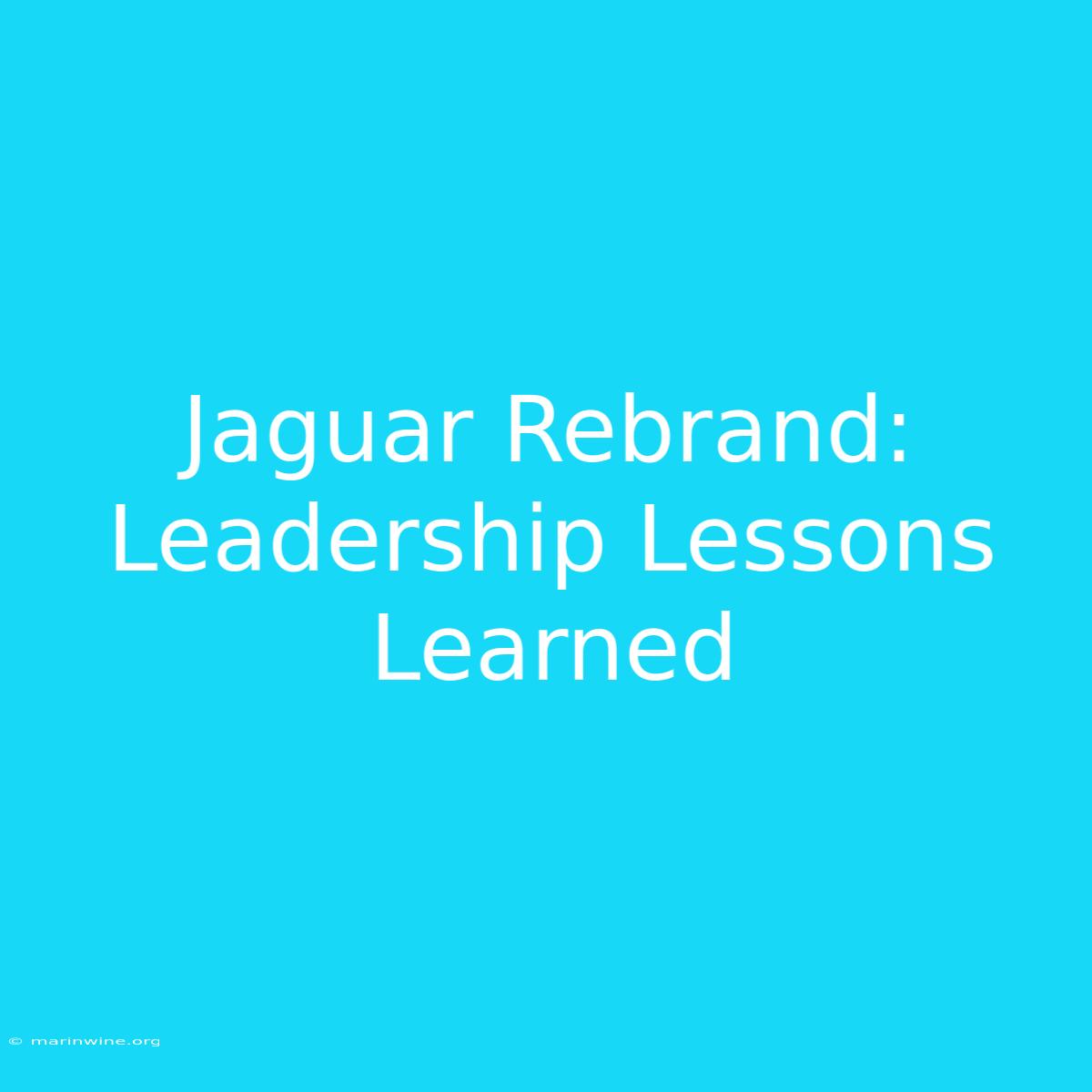 Jaguar Rebrand: Leadership Lessons Learned