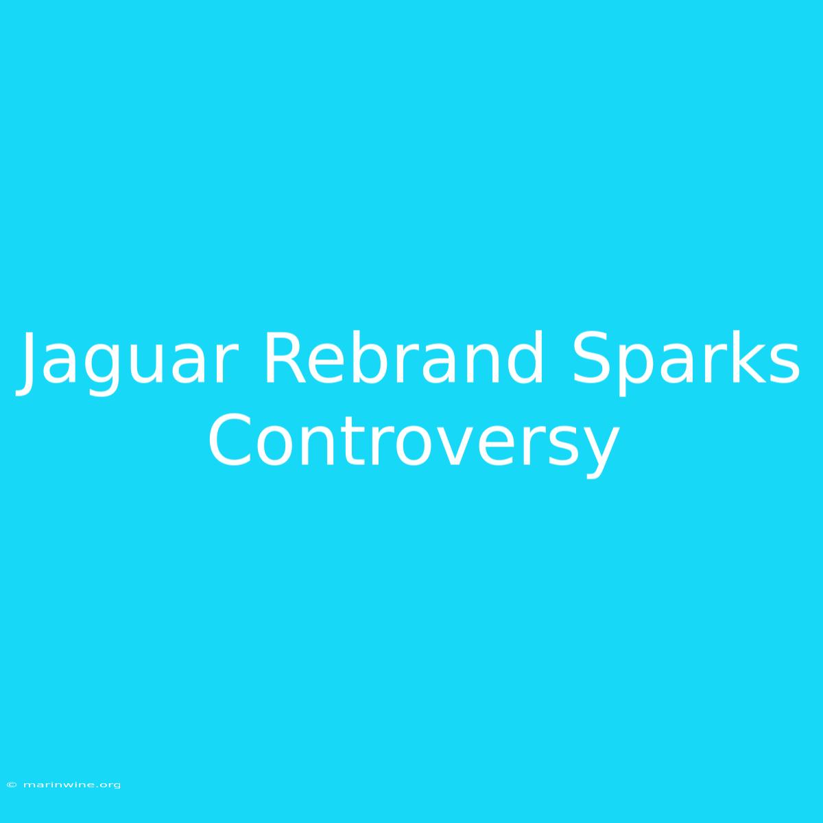 Jaguar Rebrand Sparks Controversy