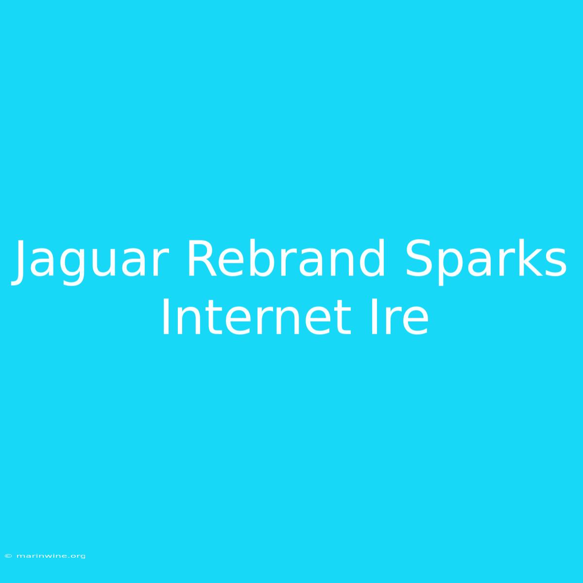 Jaguar Rebrand Sparks Internet Ire