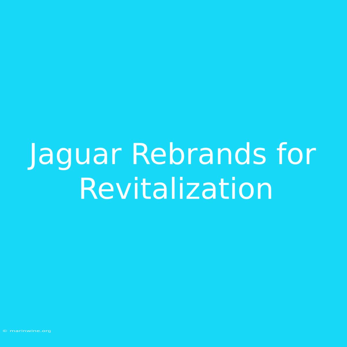 Jaguar Rebrands For Revitalization