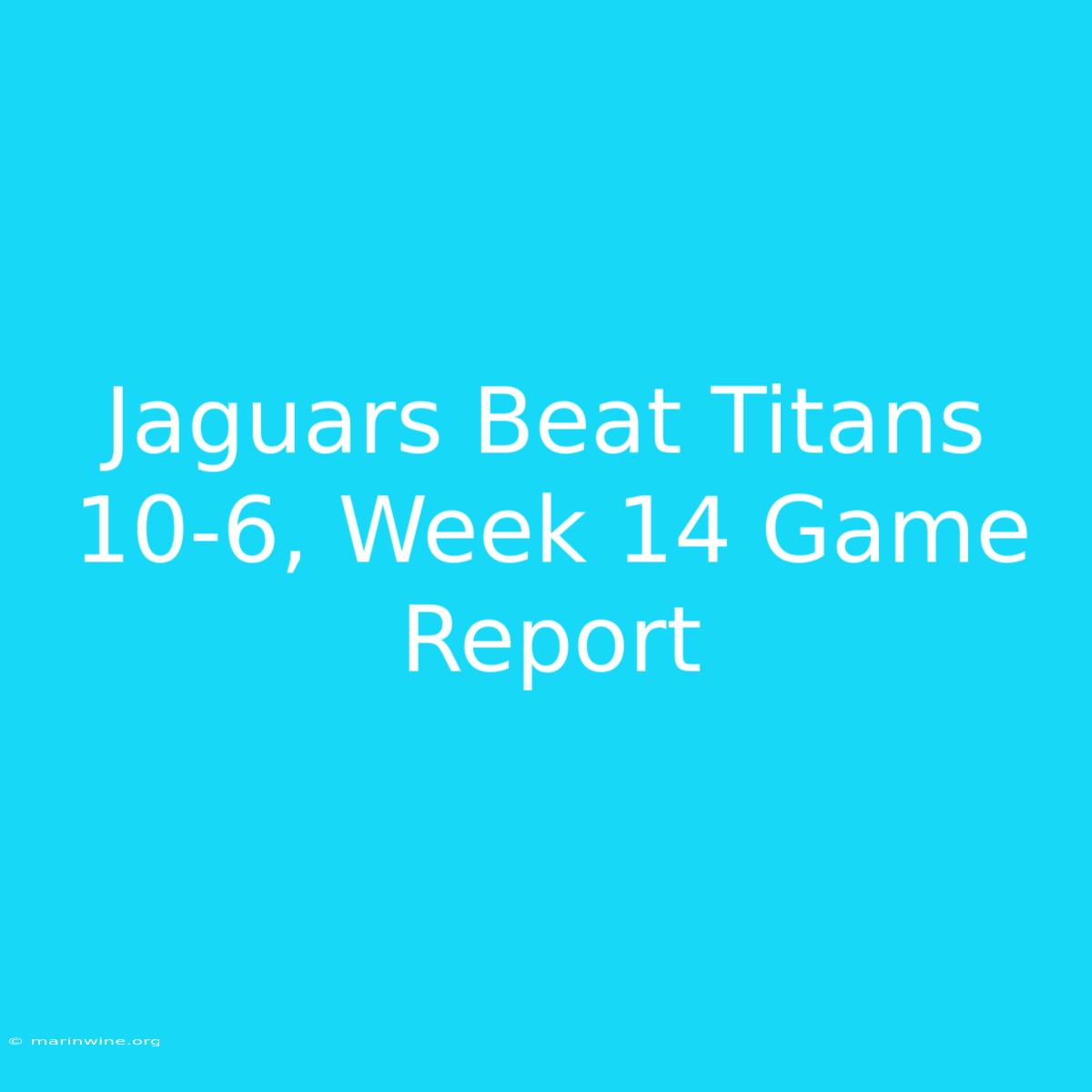 Jaguars Beat Titans 10-6, Week 14 Game Report