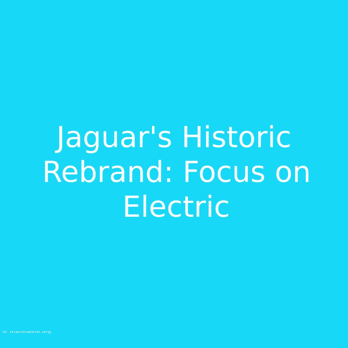 Jaguar's Historic Rebrand: Focus On Electric