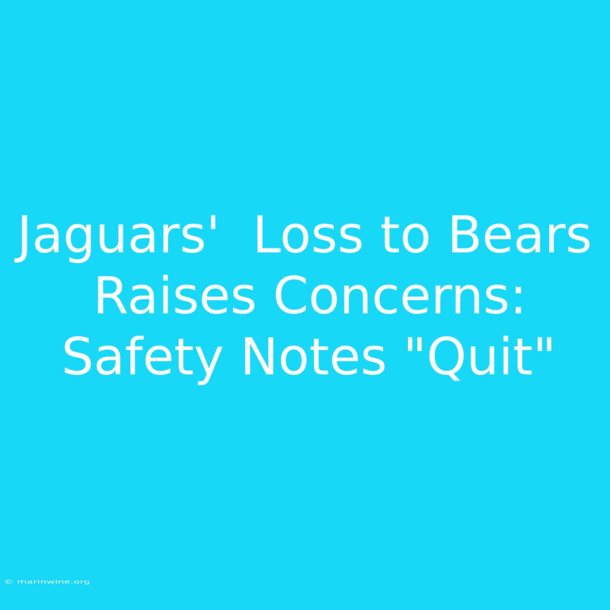 Jaguars'  Loss To Bears Raises Concerns: Safety Notes 