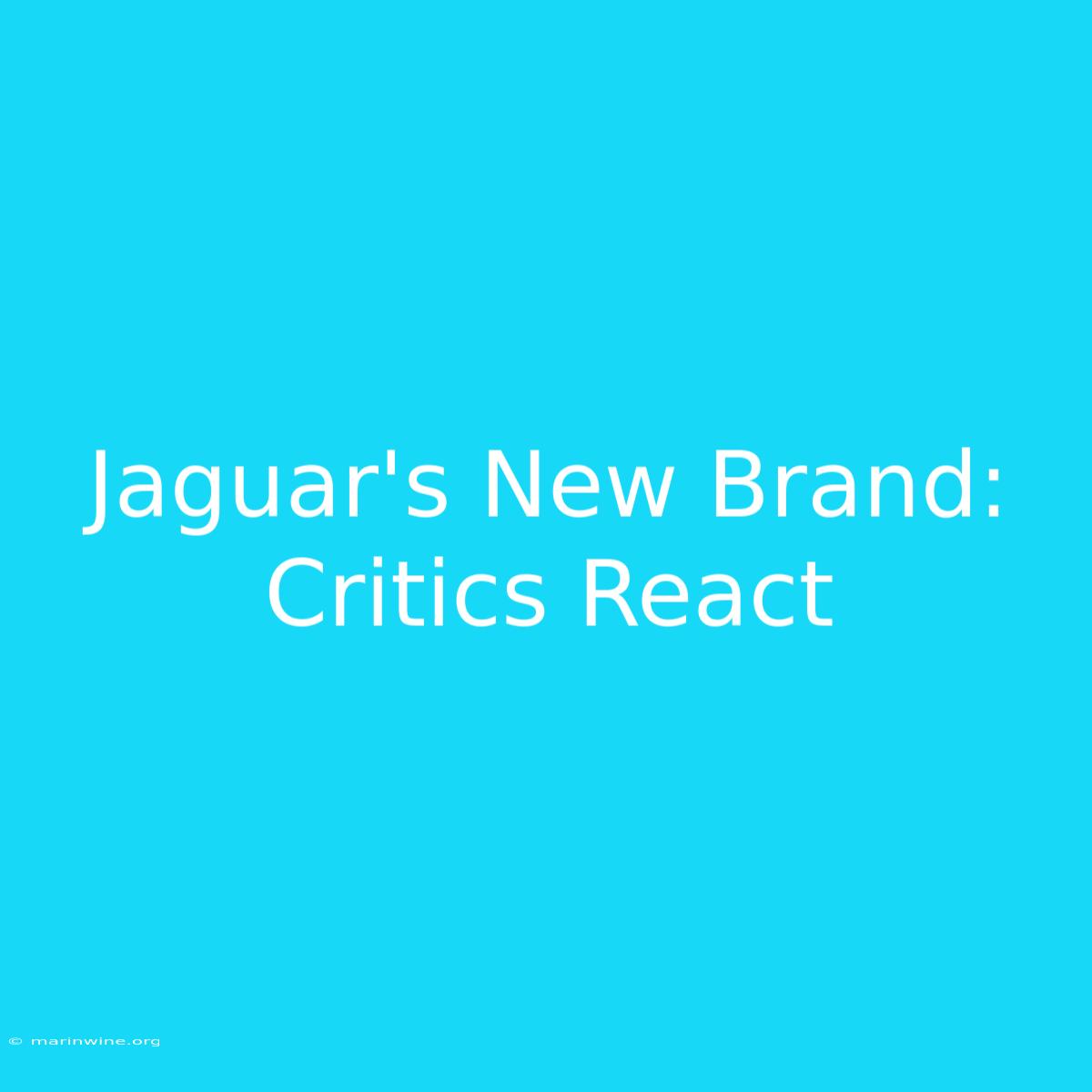 Jaguar's New Brand: Critics React