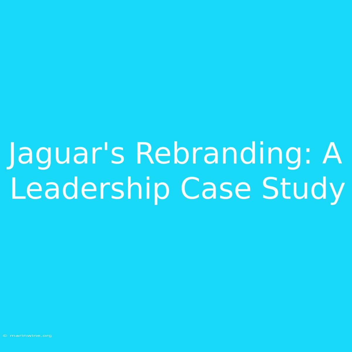 Jaguar's Rebranding: A Leadership Case Study