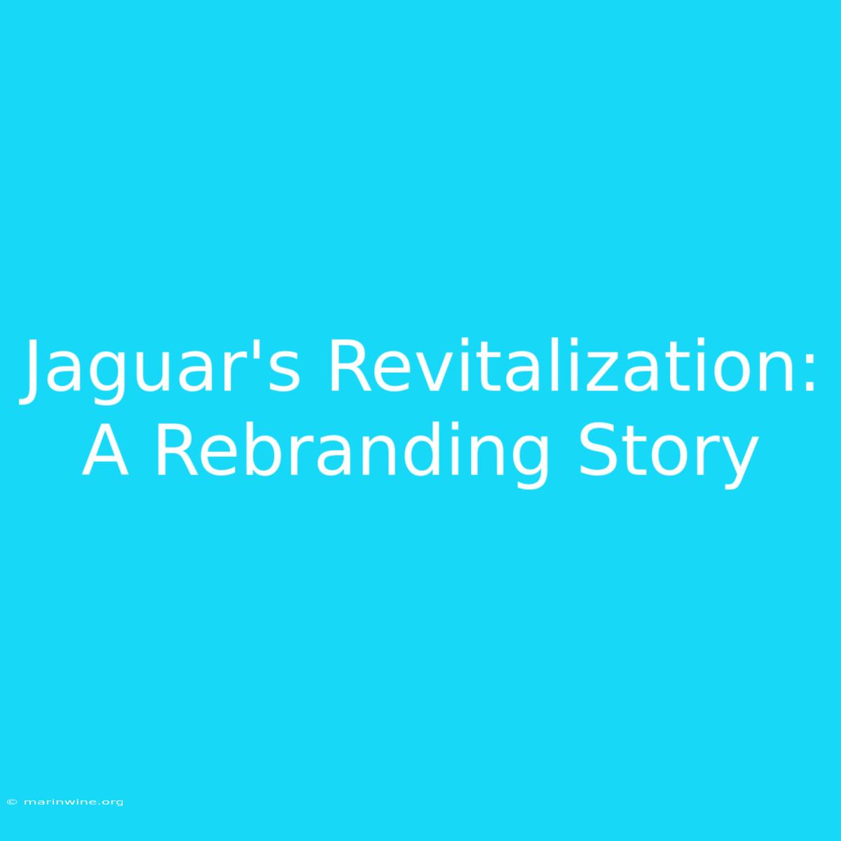 Jaguar's Revitalization: A Rebranding Story