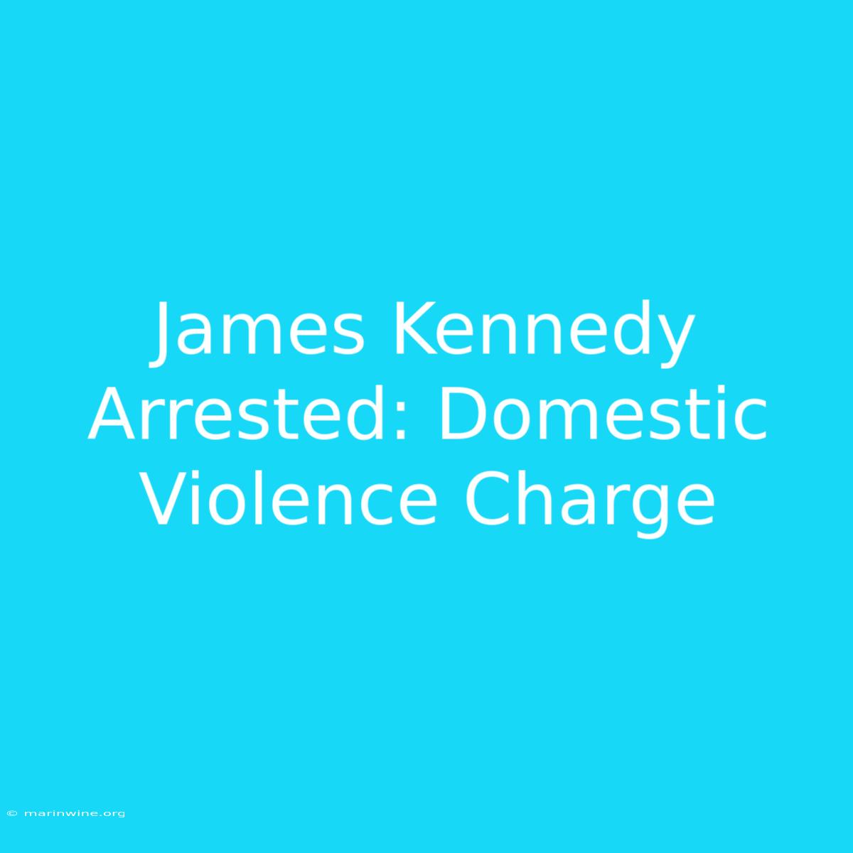 James Kennedy Arrested: Domestic Violence Charge