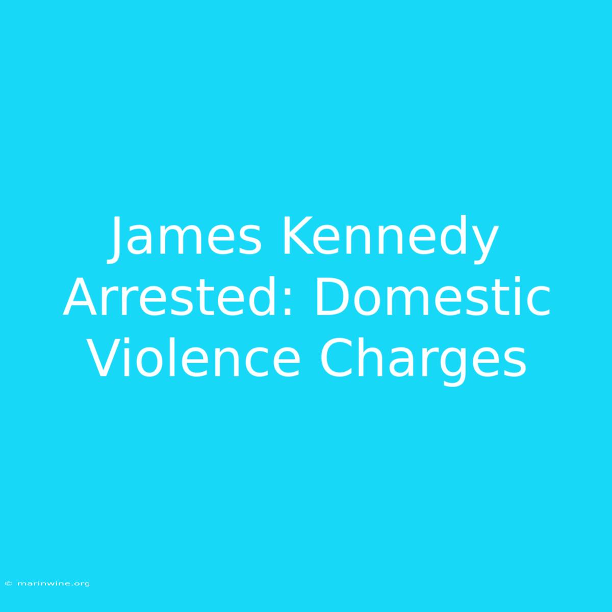 James Kennedy Arrested: Domestic Violence Charges