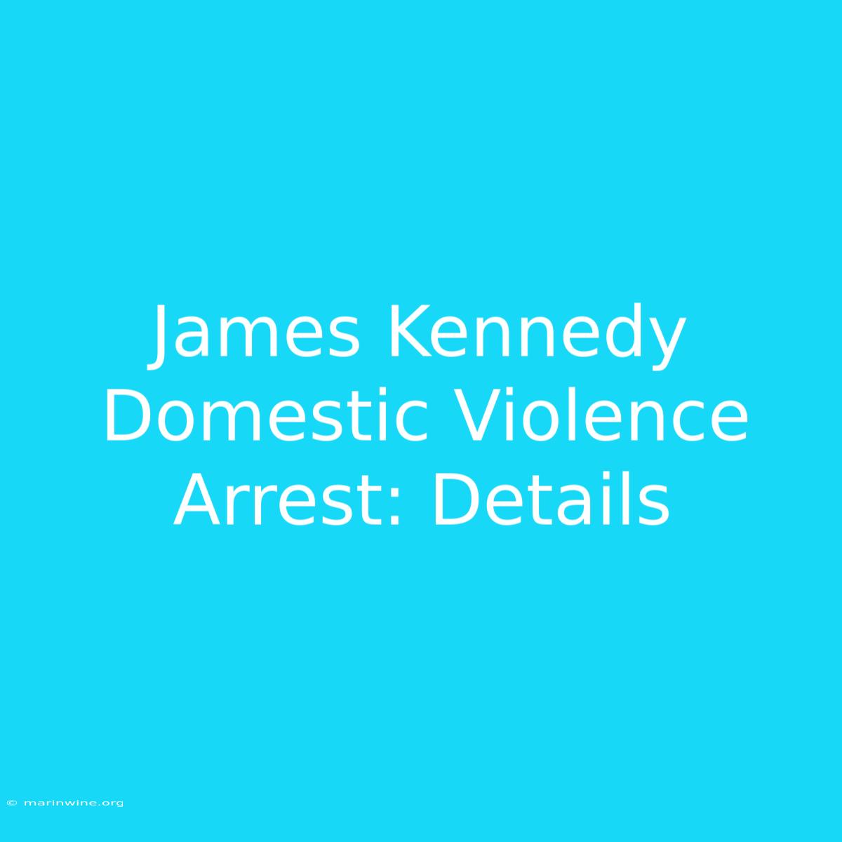 James Kennedy Domestic Violence Arrest: Details