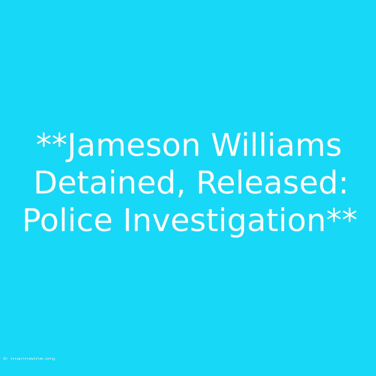 **Jameson Williams Detained, Released: Police Investigation** 