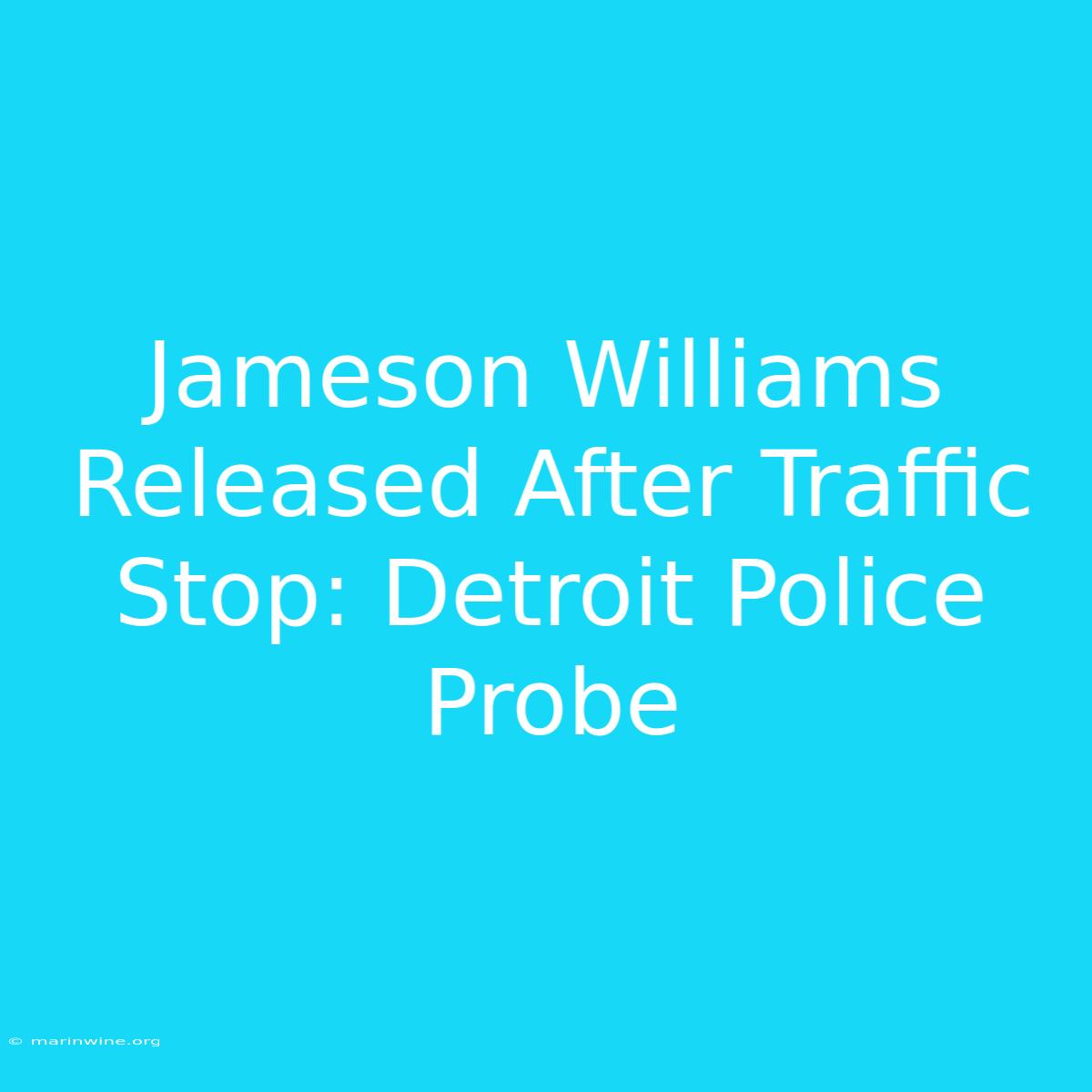 Jameson Williams Released After Traffic Stop: Detroit Police Probe 