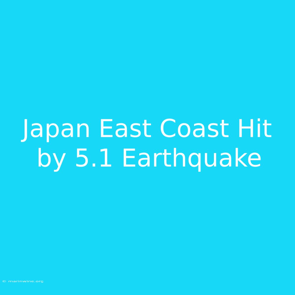 Japan East Coast Hit By 5.1 Earthquake