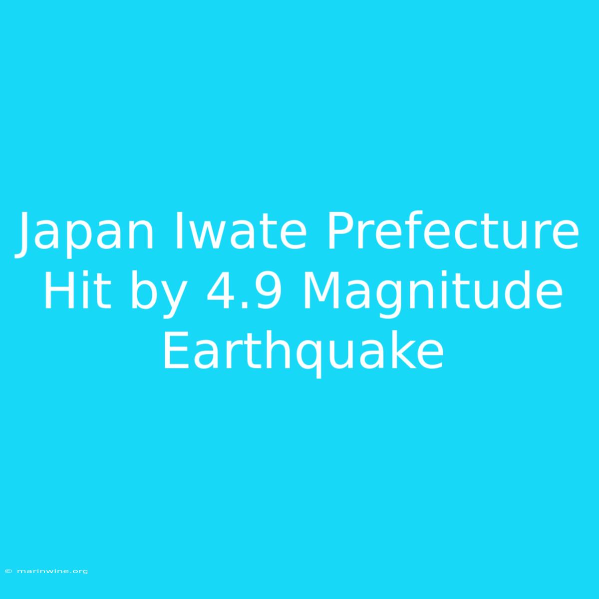 Japan Iwate Prefecture Hit By 4.9 Magnitude Earthquake