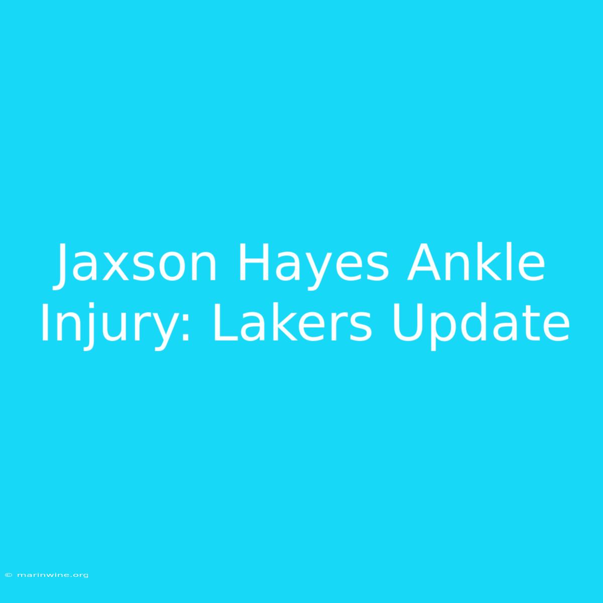 Jaxson Hayes Ankle Injury: Lakers Update