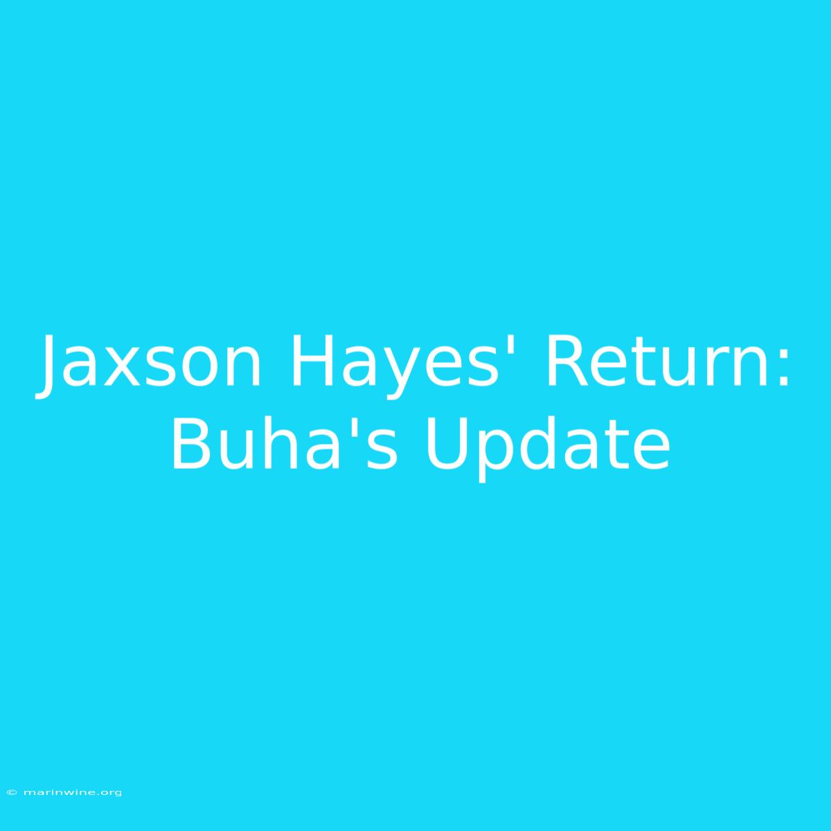 Jaxson Hayes' Return: Buha's Update