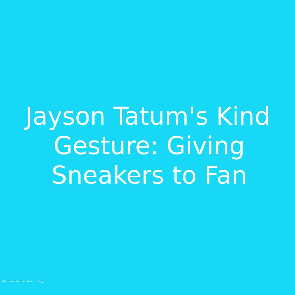 Jayson Tatum's Kind Gesture: Giving Sneakers To Fan 