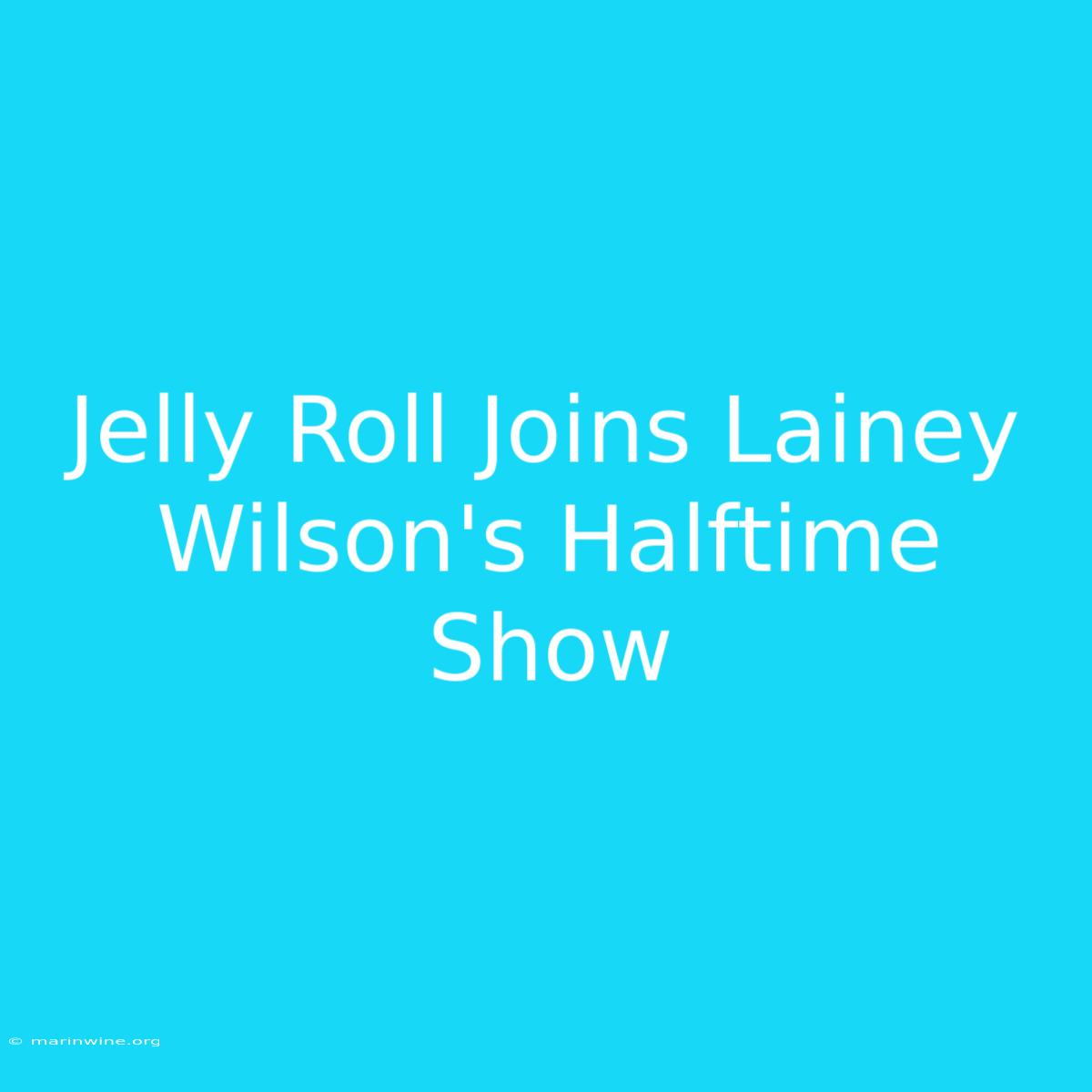 Jelly Roll Joins Lainey Wilson's Halftime Show