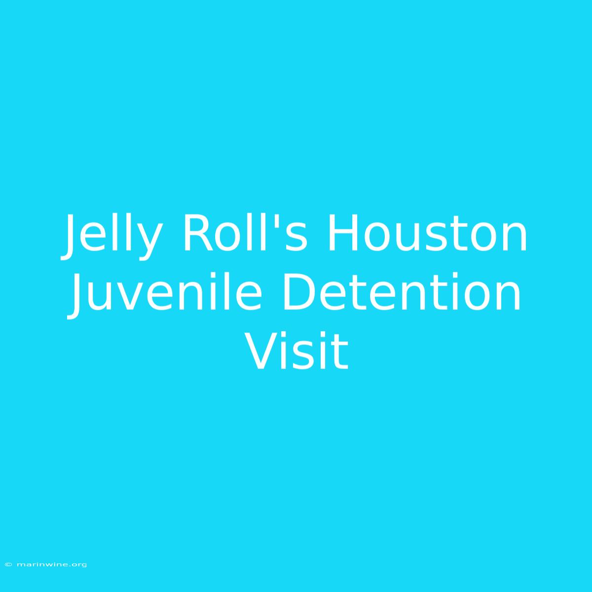 Jelly Roll's Houston Juvenile Detention Visit