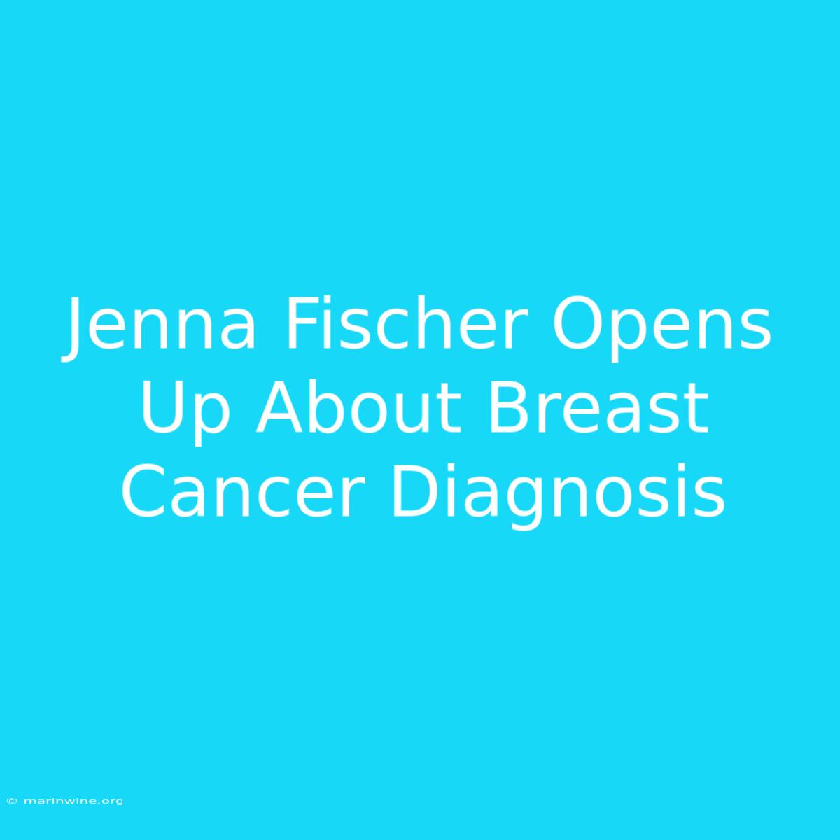 Jenna Fischer Opens Up About Breast Cancer Diagnosis