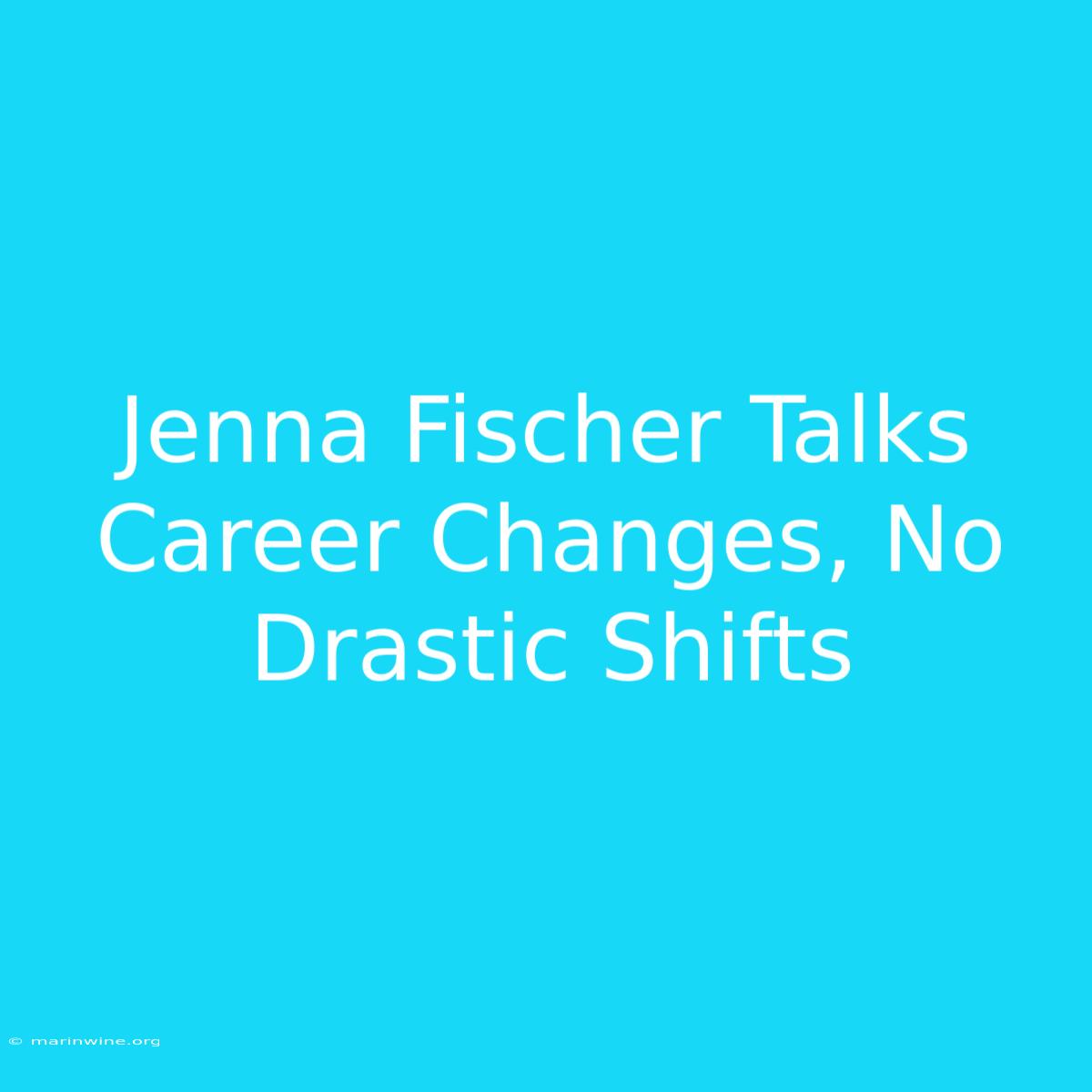 Jenna Fischer Talks Career Changes, No Drastic Shifts