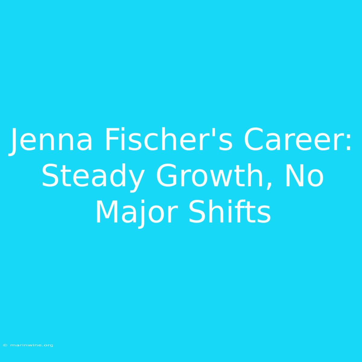 Jenna Fischer's Career: Steady Growth, No Major Shifts 