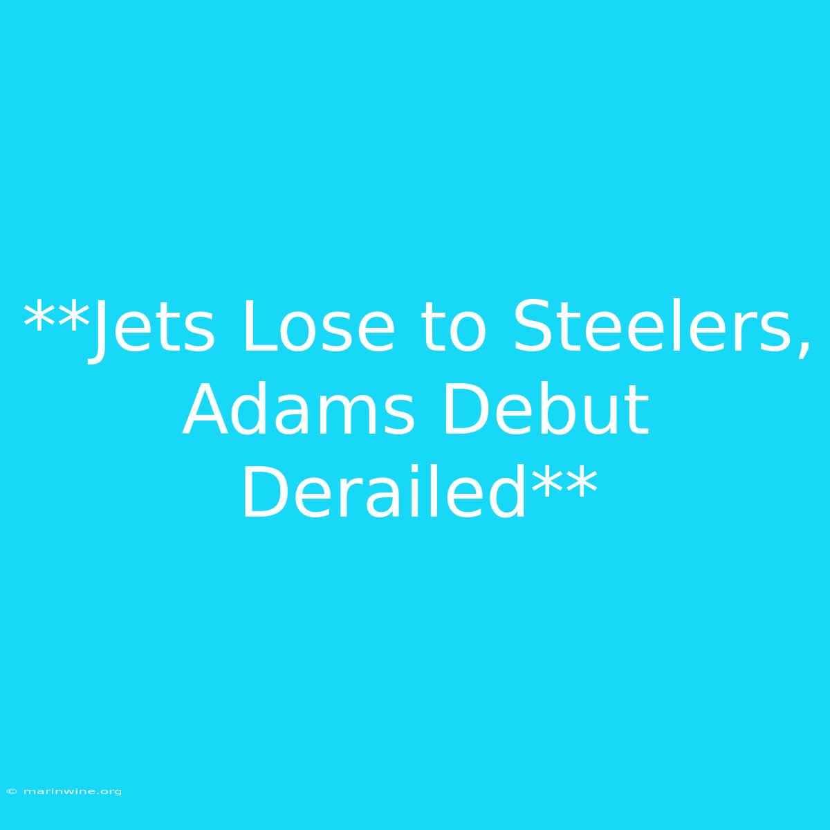 **Jets Lose To Steelers, Adams Debut Derailed** 