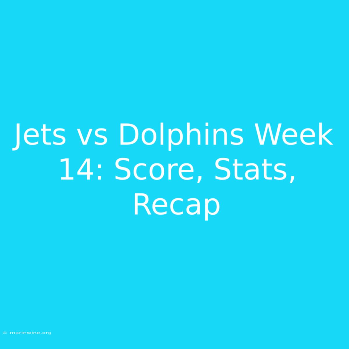 Jets Vs Dolphins Week 14: Score, Stats, Recap