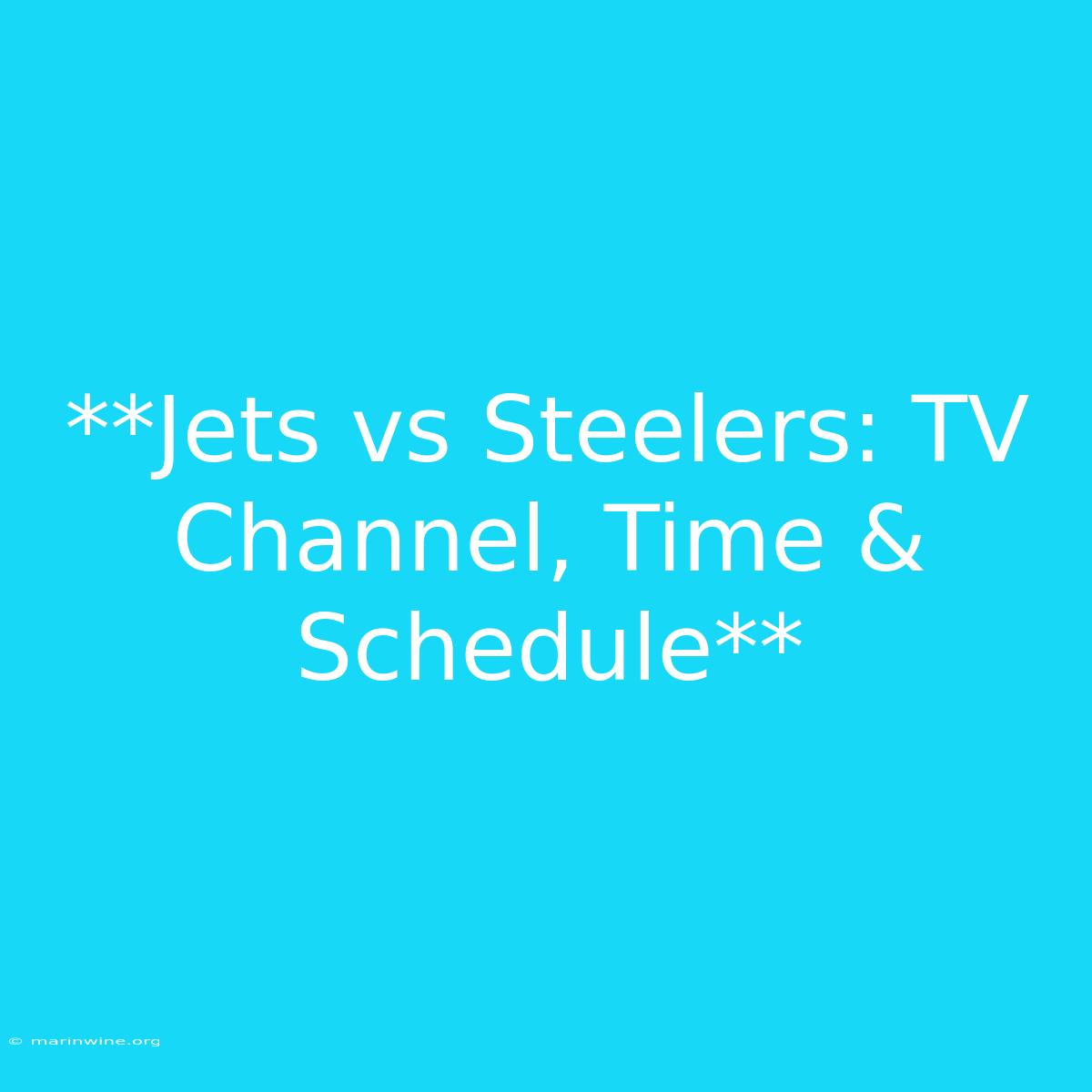 **Jets Vs Steelers: TV Channel, Time & Schedule**