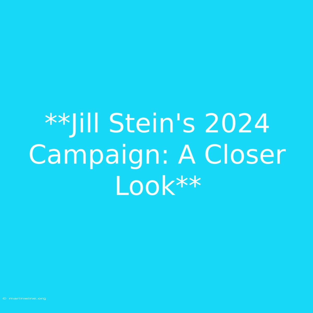 **Jill Stein's 2024 Campaign: A Closer Look**