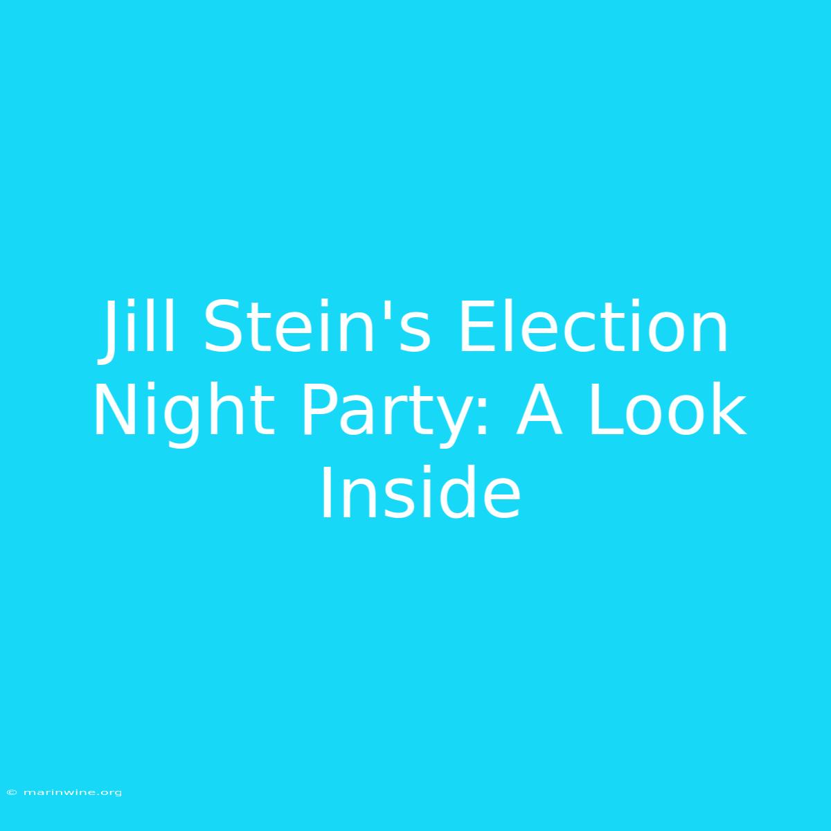 Jill Stein's Election Night Party: A Look Inside