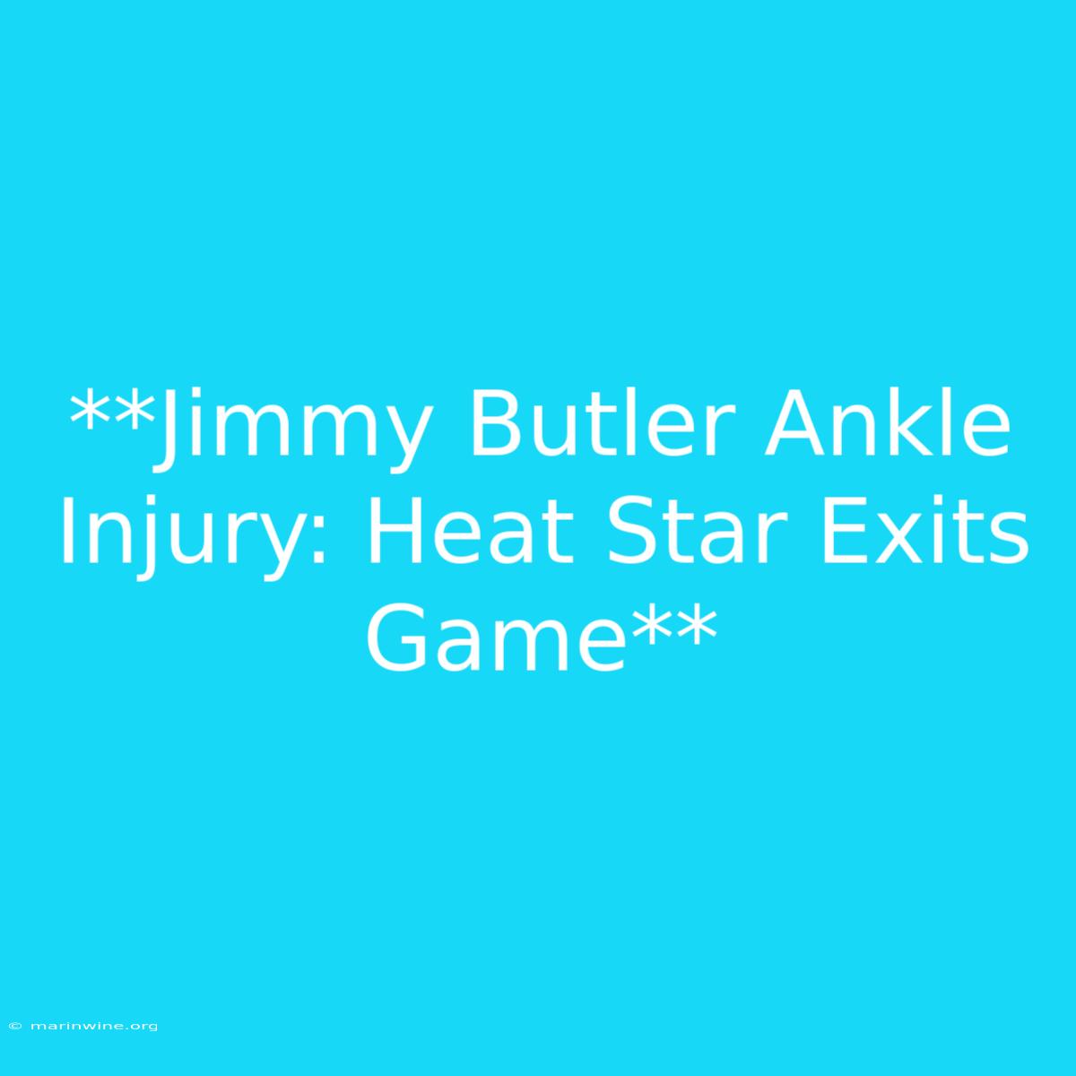 **Jimmy Butler Ankle Injury: Heat Star Exits Game** 