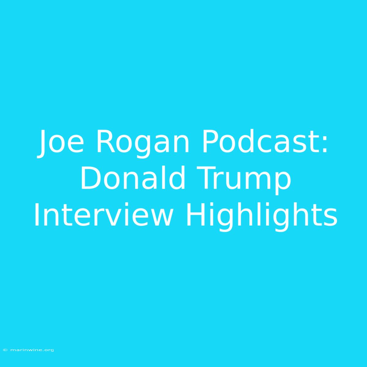 Joe Rogan Podcast: Donald Trump Interview Highlights