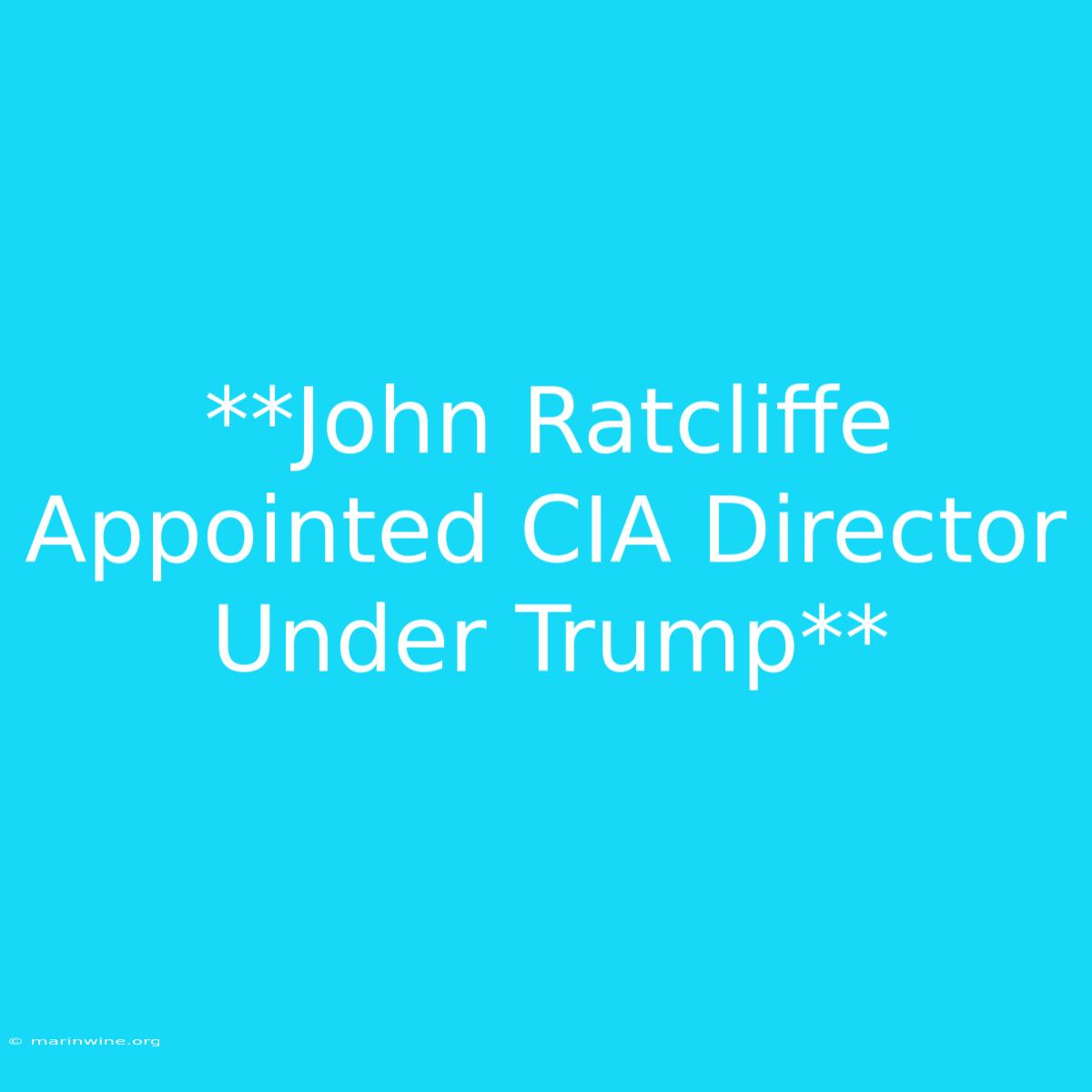 **John Ratcliffe Appointed CIA Director Under Trump**