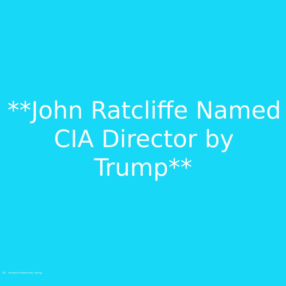 **John Ratcliffe Named CIA Director By Trump**